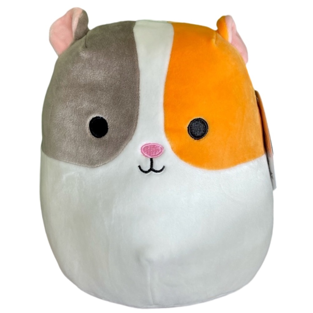 NWT Everett the Guinea Pig Squishmallows 8"